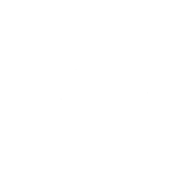 logo SINGA